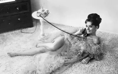 Dawn Wells - Sexy On The Phone !!! • $2.22