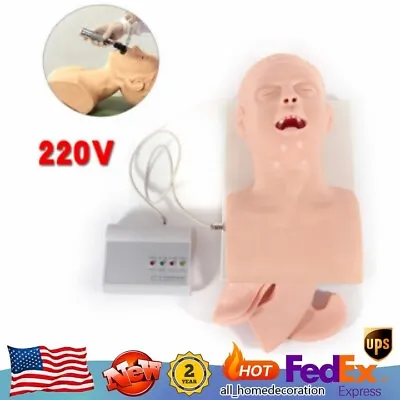 $208.05 • Buy 220V Intubation Manikin Teaching Model Adult Airway Management Trainer W/ Alarm