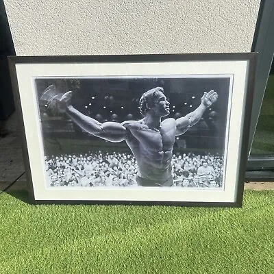 £30 • Buy Massive Arnold Schwarzenegger Framed Poster