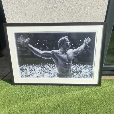 £30 • Buy Massive Arnold Schwarzenegger Framed Poster