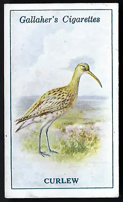 Gallaher - British Birds By George Rankin - #63 Curlew • £1.60