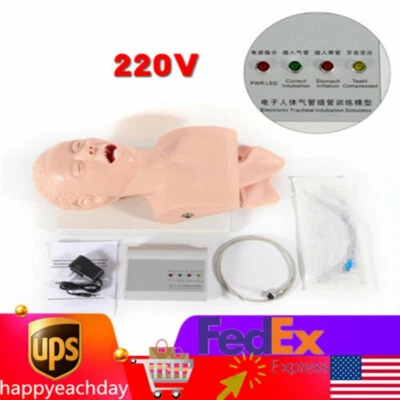 $239 • Buy Intubation Manikin Study Teaching Model Adult Airway Management TrainerSimulator