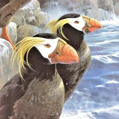Monastery Rock Tufted Puffins Lithograph Mario Fernandez Signed NWT • $75.99