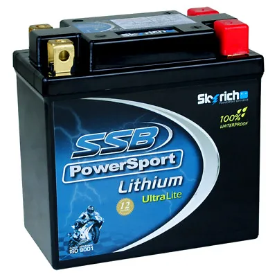 YB14L-A2 12v Lithium Motocycle Battery Yamaha FZR1000 FJ1200 Suzuki GSXR1100 • $252.95