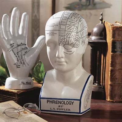 Porcelain Phrenology Statue - Scientific / Medical / Psychology - LN Fowler • $40