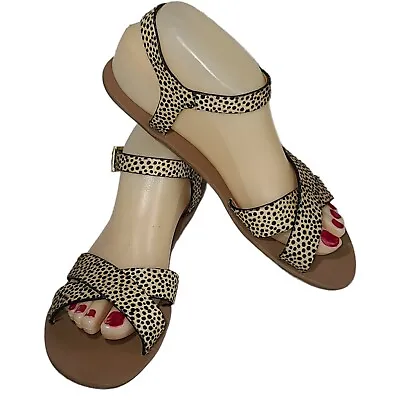 J.Crew Women's Sz 7 Leopard Cheetah Print Calf Hair Buckle Sandals NWOB.   FLT01 • $34