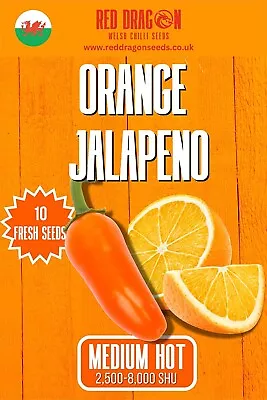 Orange Jalapeno Chilli Seeds - 10 Fresh Numex Orange Jalapeno Pepper Seeds • £3.99