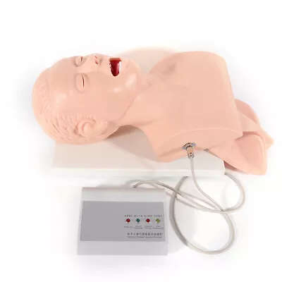 $221 • Buy PVC Manikin Study Teaching Intubation Model Oral Nasal Airway Management Trainer