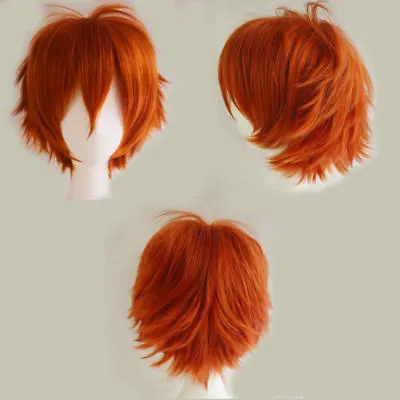 Unisex Anime Wig Black Grey Short Full Hair Wigs Cosplay Party Heat Resistant US • $15.50