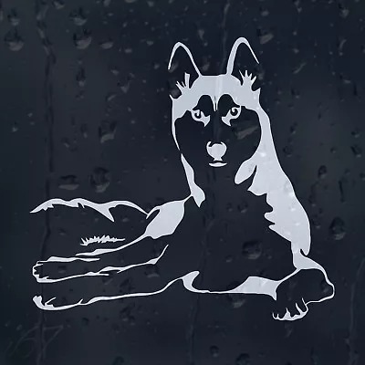 £2.50 • Buy Siberian Funny Husky Dog Car Decal Vinyl Sticker For Window Or Bumper Or Panel
