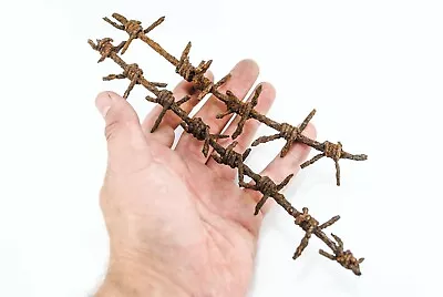 WW1 Barbed Wire (Rusty Relic) - WWI German Militaria Original Period Items • $29.95