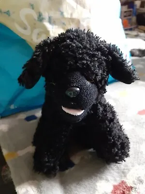£8 • Buy Teddy Mountain Black Poodle Puppy, 10  Plush Soft Toy