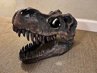 SUPER LARGE Tyrannosaurus T-Rex Skull Resin Fossil Dinosaur • £350