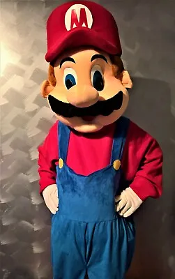 Mario And Luigi Mascot Costume *HIRE ONLY* • $80