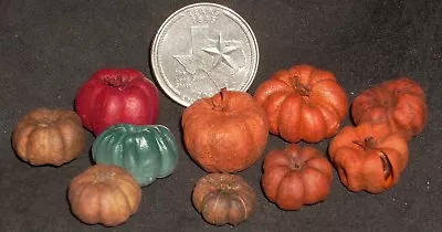 10 Pumpkin Autumn Fall 1:12 Miniature Produce Crate Vegetables WILL VARY SH532 • $2.50