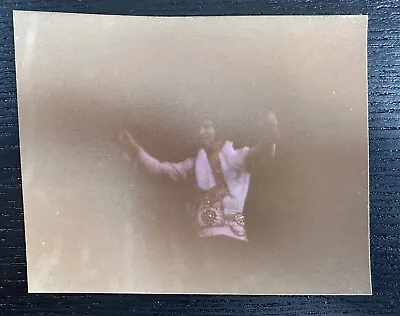 1977 Cincinnati Ohio Vintage Original ELVIS PRESLEY Concert Fan Photo Picture • $22.05