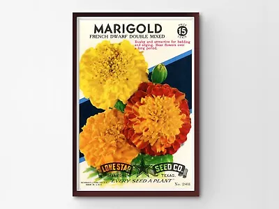Vintage Flower Seed Packet POSTER! (up To 24  X 36 ) - Flowers - Marigolds - Art • $24