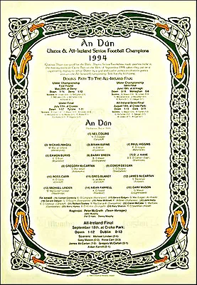 £29.50 • Buy Down All-Ireland Senior Football Champions 1994: GAA Print