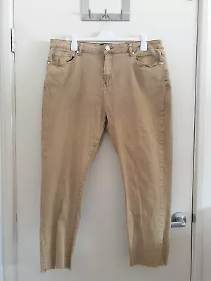 City Chic Size 20 Harley High Rise Beige Distressed Hem Womens Jeans • $38