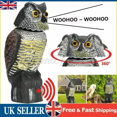 360°Rotating Real Owl Decoy Deterrent Head Sound Bird Pigeon Crow Scarer Statue • £15.98