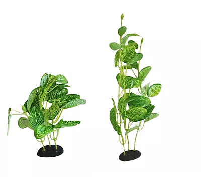 Aquarium Fish Tank Silk Plant Fittonia Plastic Plants Decoration Assorted Sizes • $4.99