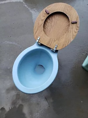 Vintage Blue Toilet • $700