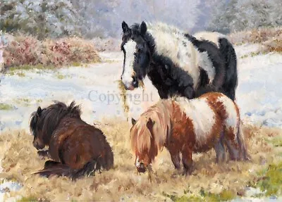 Horse Christmas Cards 'Ponies' By Rosemary Welch C663x • £7