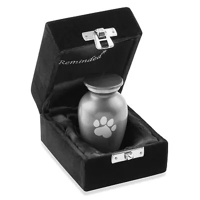 Pet Urn For Dog & Cat Ashes - Cremation Memorial Extra Small Gray Urn • $14.99