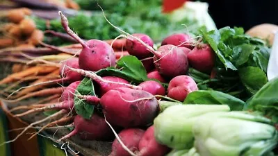 Radish French Breakfast Seeds - Ideal For Smaller Gardens/containers • £1.45