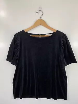 LOFT Women's Shirt XL Solid Black Velvet Short Sleeve Stretch Top   • £9.63
