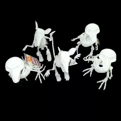 Lot 5 Scary Animal Glow In The Dark Faux Skeletons: 3 Crows And 2 Rats • $18