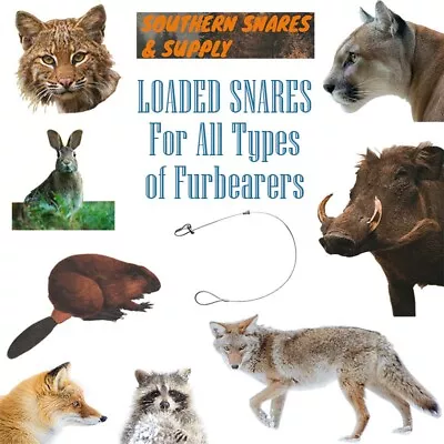 Loaded Animal Snares By Southern Snares - Pick & Choose - Coyote - Hog - Bobcat  • $17.95