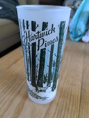Vintage Hartwick Pines Michigan Souvenir Frosted Drinking Glass New Old Stock • $8
