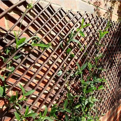 £10.36 • Buy Expanding Trellis Garden Climbing Plant Wall Fence Mesh Flowers Support Decor UK