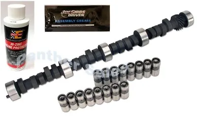 Ford FE 352 360 361 390 428 429  RV Torque Flat Tappet Camshaft Cam Lifter Kit • $329.99