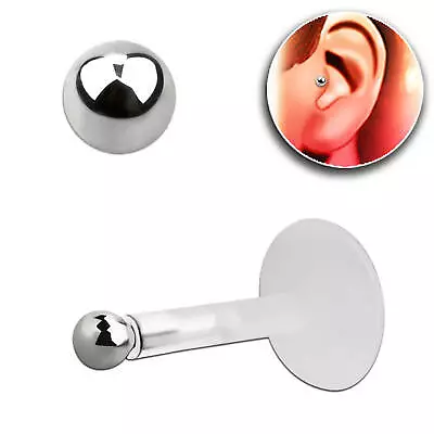 £4.19 • Buy Tiny 2 Mm Sterling Silver Ball Bioflex Push Fit Labret Conch Helix Bar. 6 Or 8mm