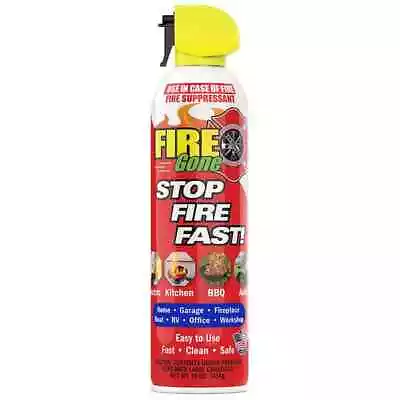 16 Oz. A:B:C Multiple Use Fire Extinguisher Spray Suppressant • $10.91