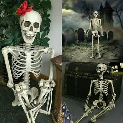 Halloween Human Skeleton Oversized Poseable Full Life Size Decor Party Props • $29.99