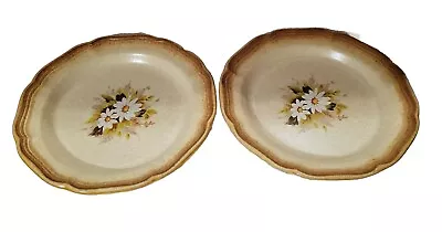 Japan Mikasa Stoneware Side Plates Whole Wheat Loves Me Daisy Set Of 2 • $17.99