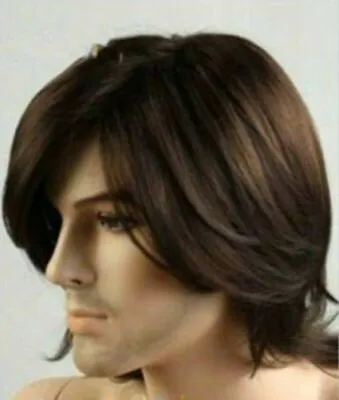 Fashion Men's  Medium Long Dark Brown Cosplay Natural Hair Wigs+free Wig Cap • $14.01