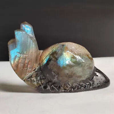 Natural Crystal Labrador Mineral Raw Stone Handmade Sculpture Snail • $3.99