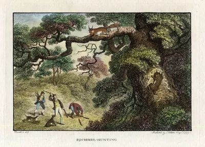 £83.40 • Buy Antique Print-SQUIRREL HUNTING-Howitt-1799