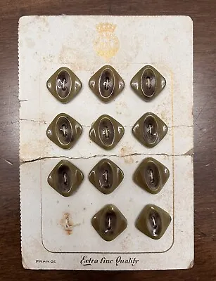 Antique Vintage Card Of 11 Vegetable Ivory Buttons Made In France (BIN7) • $12.95