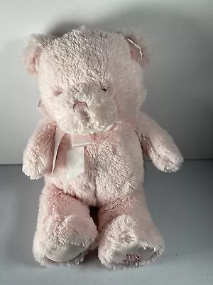 Baby GUND My First Teddy Bear Pink Stuffed Animal Plush Sewn Gray Eyes Girl Toy • $10.95