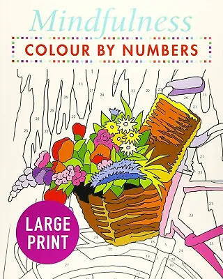 Mindfulness Colour-by-Numbers Large Print Advanced Colouring Book New Paperback • £6.99