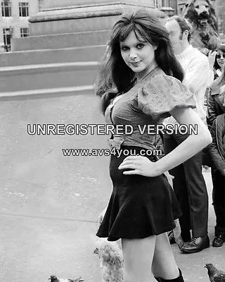 Madeline Smith Hammer Horror 10  X 8  Photograph No 66 • £4