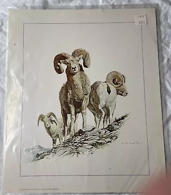 Mtn Goat Print C1973 Martin Glen Loates Sealed In Original Packaging 10  X 12  • $18