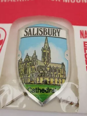 Salisbury Cathedral Walking Stick Badge / Mount Sampsons • £5