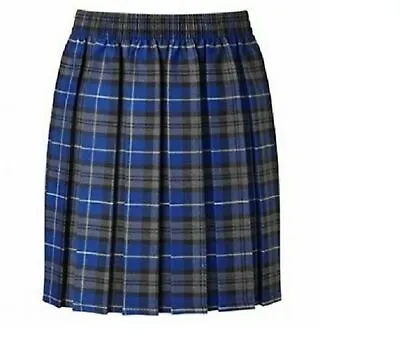 Girls Box Pleated Elasticated Waist Skirt Kids School Uniform Skirt All Round • £12.48