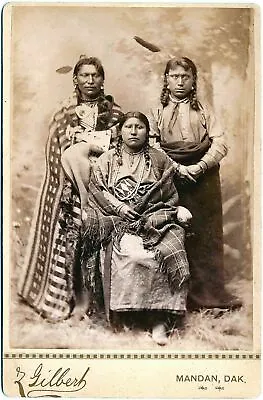£3.99 • Buy Native American Indian Portrait Brave & Family 1880 Photo Art Print Picture